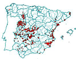 Gambusia holbrooki_mapa.jpg